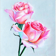 彩铅作品花