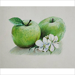 彩铅作品苹果