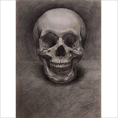 素描作品骷髅头