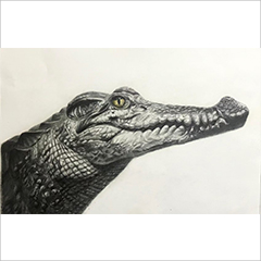 素描作品